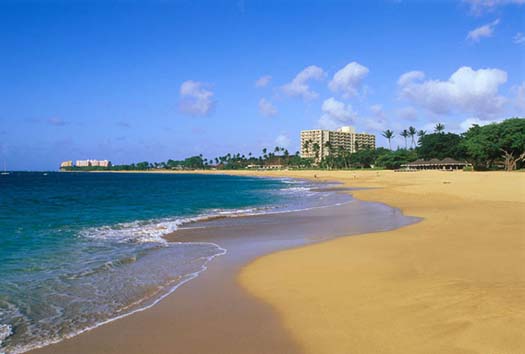Maui Beach